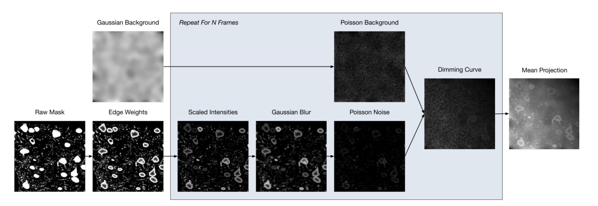 The pipeline for making synthetic data.