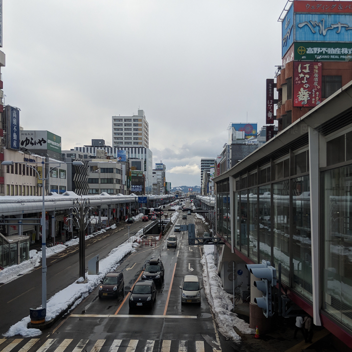 Busy street in Niigata prefecture, Japan