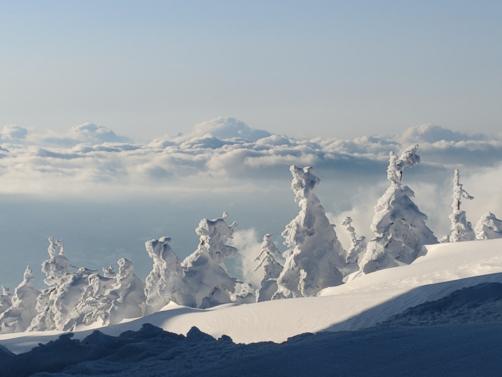 Snow Monsters at Zao Mountain in Yamagata, Japan
