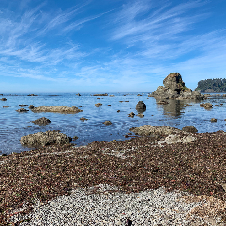 Pacific Ocean Coast at Olympic National Park